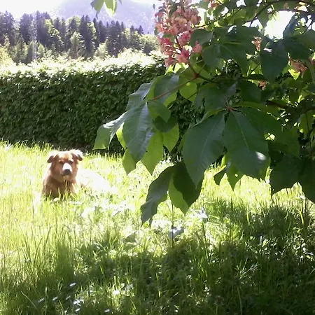 Am Pflanzgarten Apartamento *