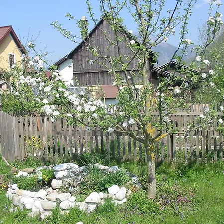 Am Pflanzgarten