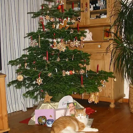 Lejlighed Am Pflanzgarten