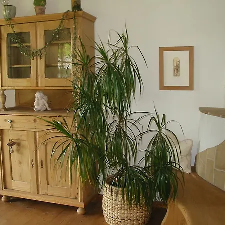 Apartamento Am Pflanzgarten *