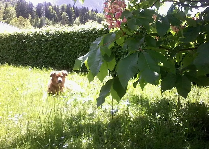 Am Pflanzgarten Διαμέρισμα *