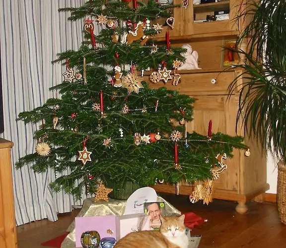 Διαμέρισμα Am Pflanzgarten